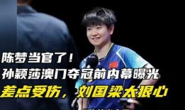 沈楠爆料澳门事件真相视频,澳门事件真相视频深度解析